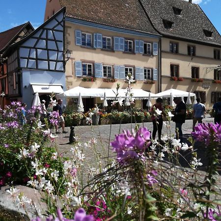 Gites Au Chateau Fleuri Eguisheim Ngoại thất bức ảnh