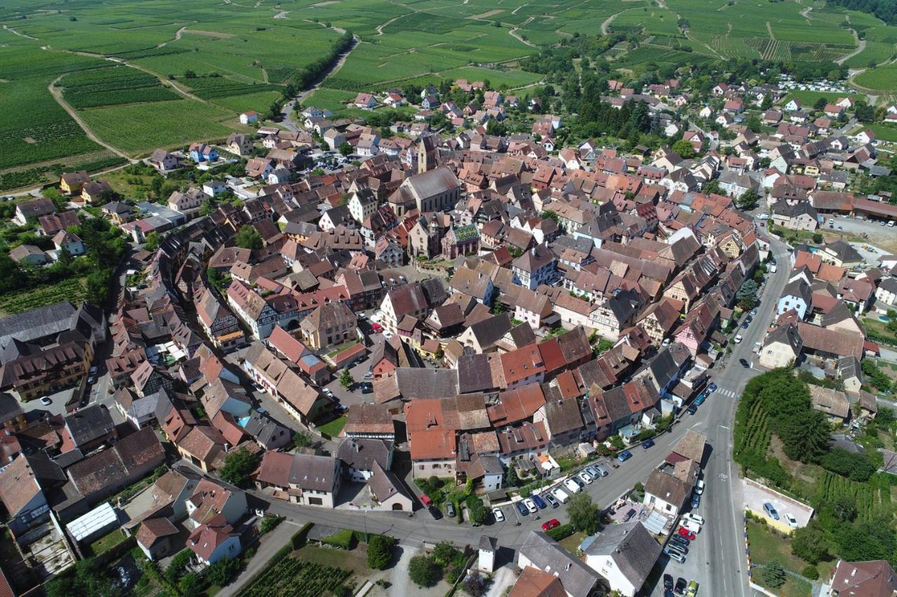 Gites Au Chateau Fleuri Eguisheim Phòng bức ảnh