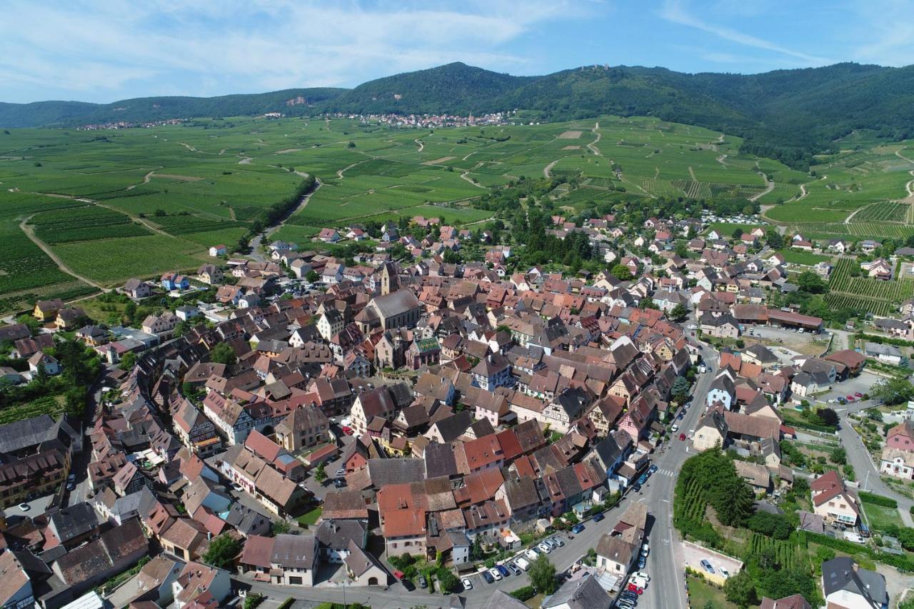 Gites Au Chateau Fleuri Eguisheim Phòng bức ảnh