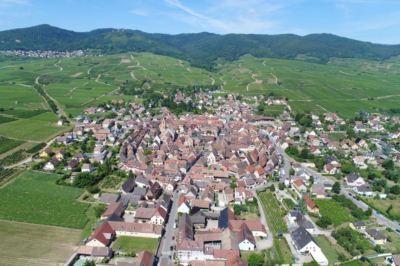Gites Au Chateau Fleuri Eguisheim Phòng bức ảnh