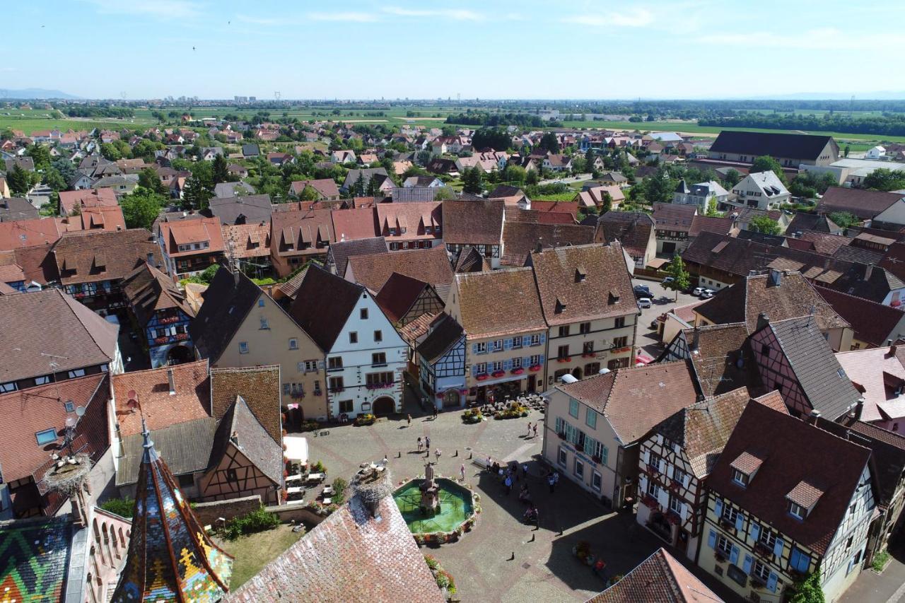Gites Au Chateau Fleuri Eguisheim Phòng bức ảnh